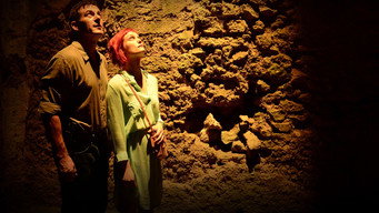 Alison Sudol — photo 4