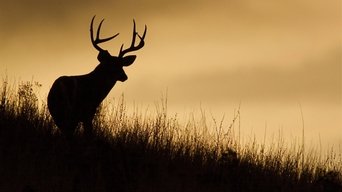 Hunter vs Hunted - S1E01