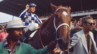 Secretariat media image