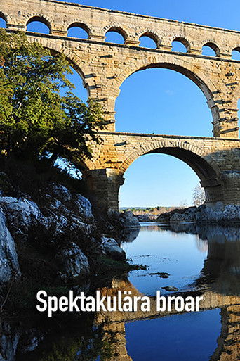 Spectacular bridges poster