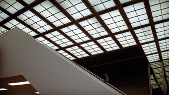 #22 The Parallax View