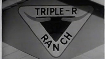Back to Triple R