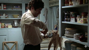 #38 The Long Goodbye