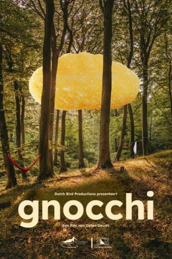 movie poster for Gnocchi