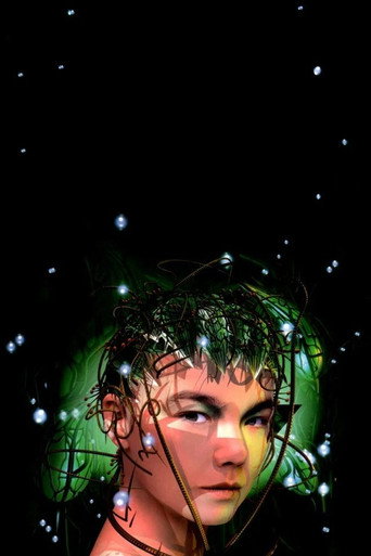 Bjork: Bachelorette