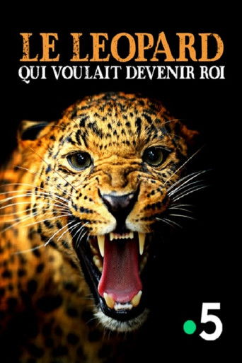 Le léopard qui voulait devenir roi poster