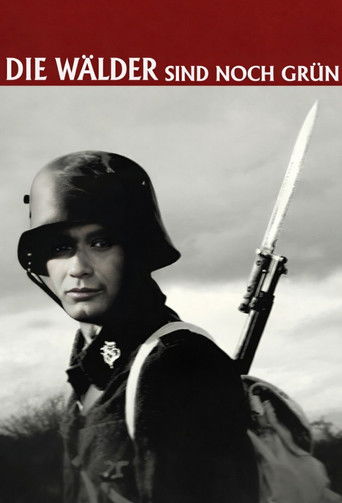 Die W&auml;lder sind noch gr&uuml;n (2014)