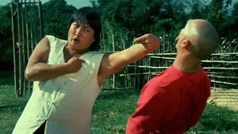 The Incredible Kung Fu Master (1979)