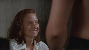 Fallout (1995)