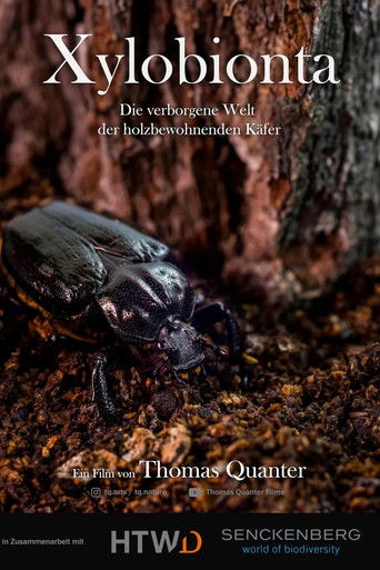 Xylobionta - die verborgene Welt der holzbewohnenden K&auml;fer (2024)