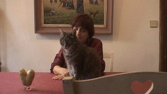 Збирачі і збирачка ... два роки по тому (2002)