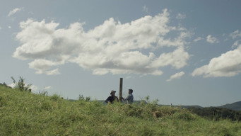 Fences media image