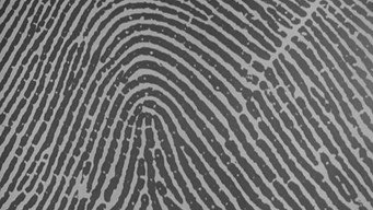 #8 FBI Code 98