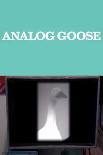 Poster för Analog Goose