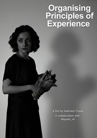 Organising Principles of Experience (2025)
