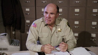 Texas Detour (1978)