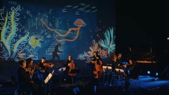 Still 2 from Le Carnaval des animaux