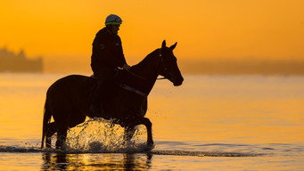 A Horse Named Winx (2024)