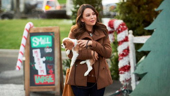 Holly & Ivy (2020)