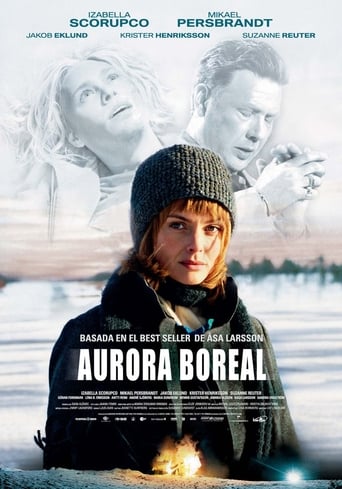 Poster of Aurora boreal