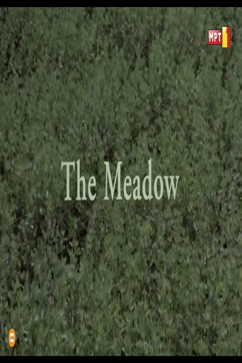 The Meadow