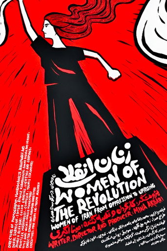 Poster film Women of Revolution