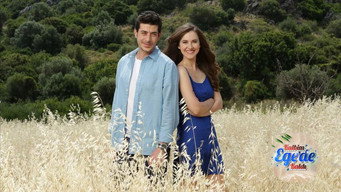 My Heart Stayed in the Aegean (2015)