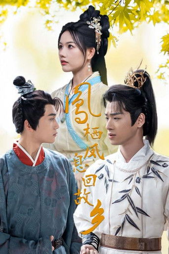 凤栖凤息回故乡 poster