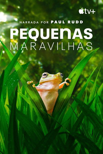 Cena de Pequenas Maravilhas