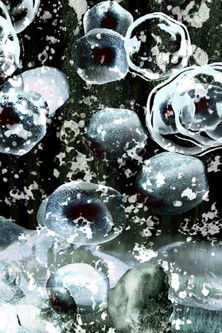 Clothes On A Rainy Day poster