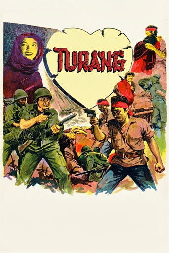 movie poster for Turang