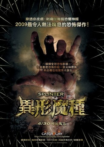 林中奇遇