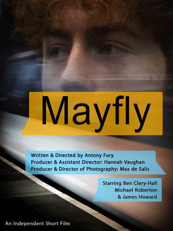 Mayfly