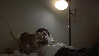 #33 The Long Goodbye