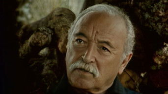 Episode 50 — Episode 50