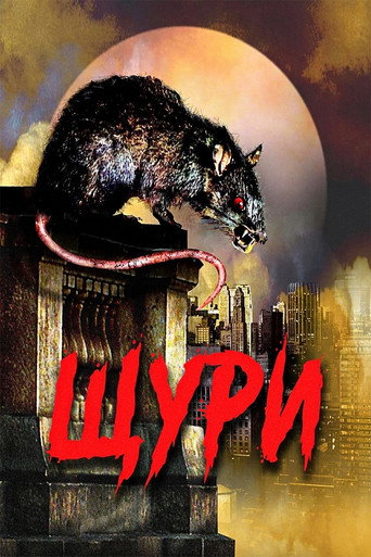 Rats