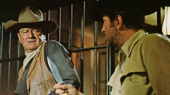 Still 7 from The Sons of Katie Elder