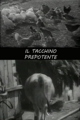 Poster för Il tacchino prepotente