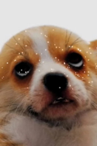 puparazzi (2009)