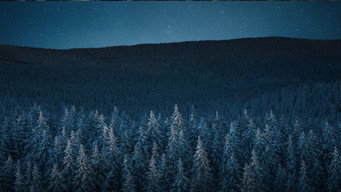 Dead North (2018)