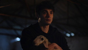 Meat (2024)