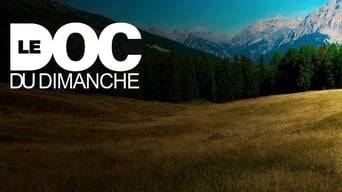 Le Doc du dimanche - 4x01