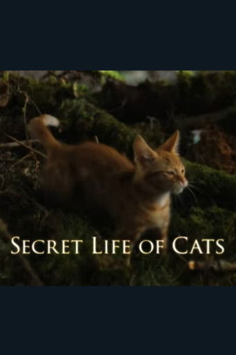 The Secret Life of Cats (2014)