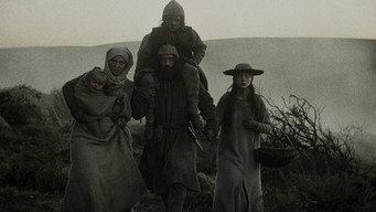 #13 Вервульф