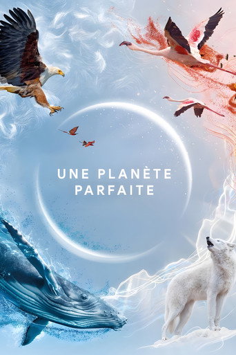 Um Planeta Perfeito — Pôsteres 24
