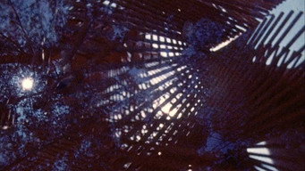 Reality's Invisible (1971)