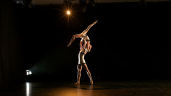 Genesis media image