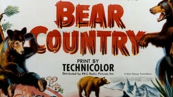 #1 Bear Country