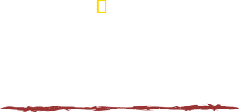 Primal Survivor logo
