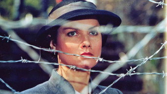 Wielki wóz (1989)